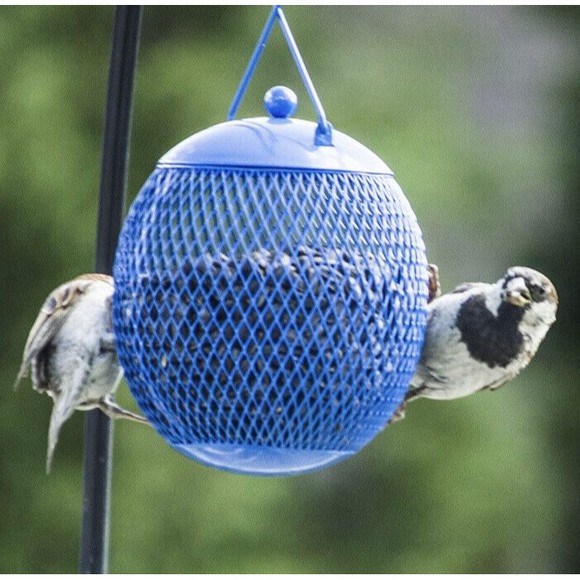 EnDarius-Set of 4 Squirrel Proof Bird Feeders for Outside - Picture 6 of 8